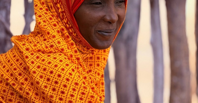 Путешествие по Африканскому Рогу!