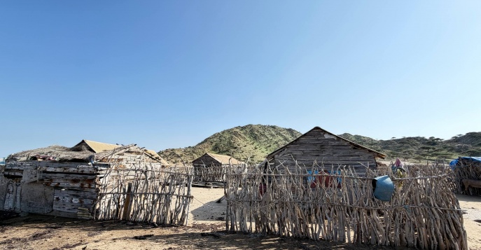 Путешествие по Эритрее Романа Пыраева в январе 2026 года