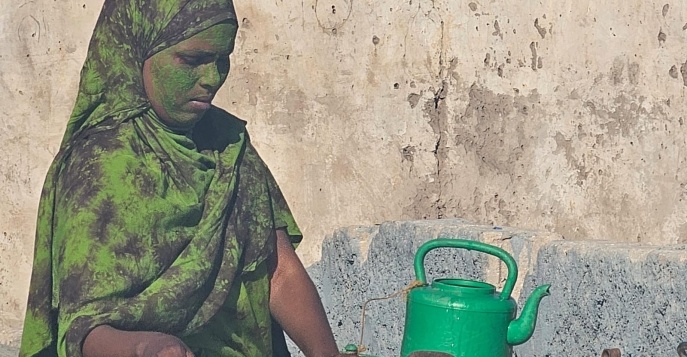 Верблюжья ферма в окрестностях Харгейсы, Сомалиленд