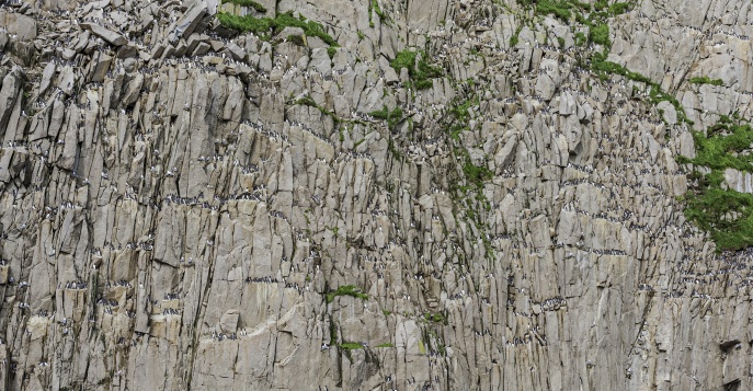 Скалистые берега — как стены древнего храма, возведённого ветром и временем