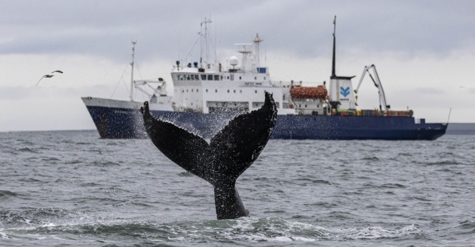 На нашем сайте опубликован календарь круизов VASTA Expeditions на 2026 год!