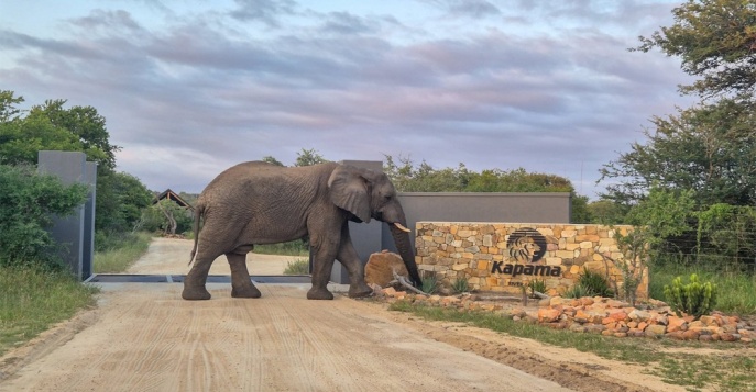 Лодж Kapama River Lodge 5*