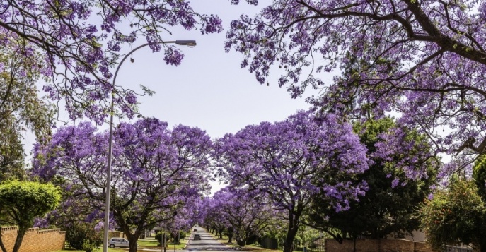 Претория, ЮАР