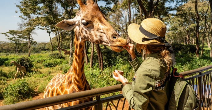 Тур на Великую Миграцию в Кении! Тур на Великую Миграцию в Кении!