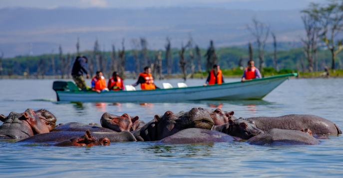 Тур на Великую Миграцию в Кении! Тур на Великую Миграцию в Кении!