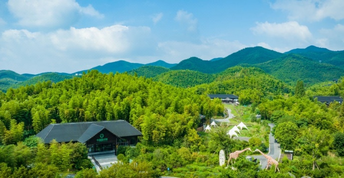 Отель Giraffe Manor Hotel 5* - Хучжоу. Китай
