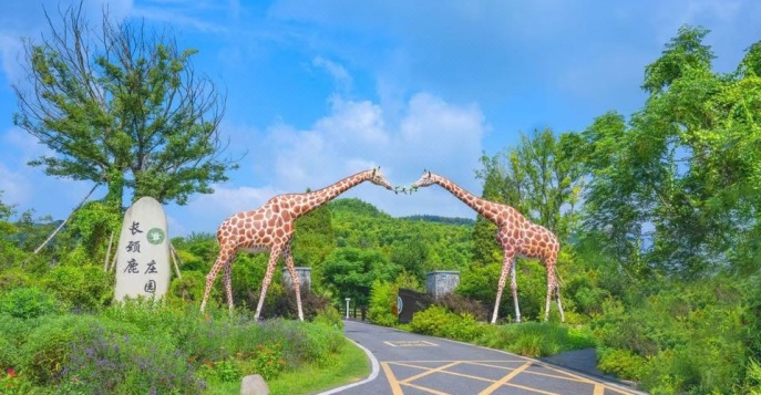 Отель Giraffe Manor Hotel 5*
