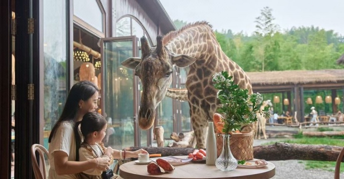 От императорского Пекина к сиящему Шанхаю с отелем Giraffe Manor