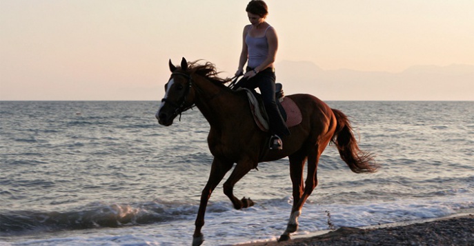 Верховая езда