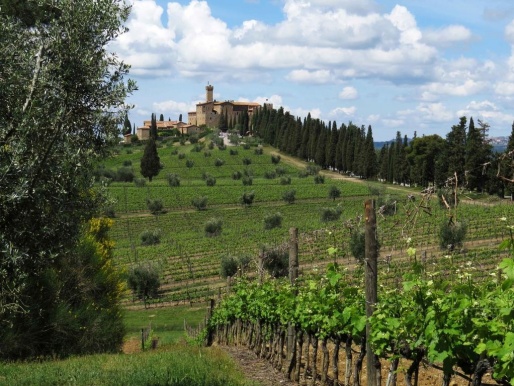 Отель Castello Banfi di Poggio alle Mura - Il Borgo 5*, Италия