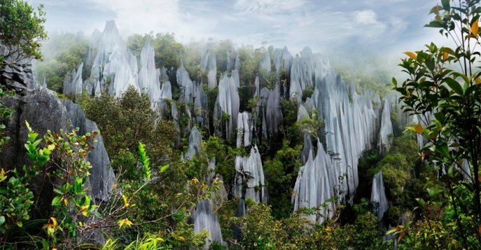 Национальный парк Мулу - Саравак - остров Борнео, Малайзия