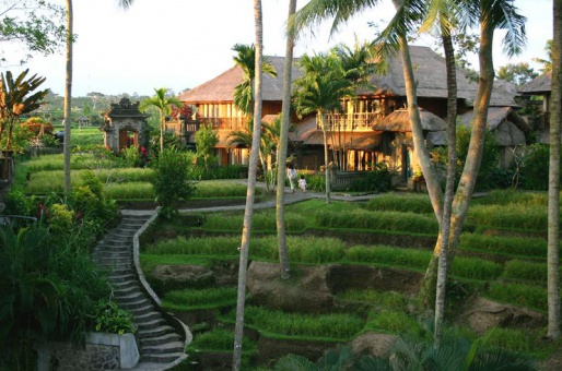 Ubud Chalet