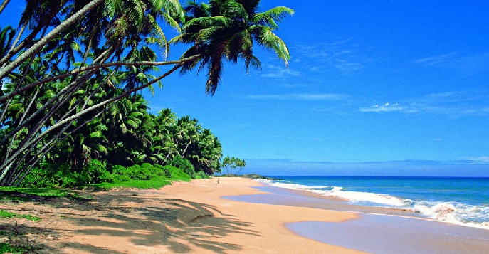 Берувела – один из самых знаменитых курортов Шри-Ланки