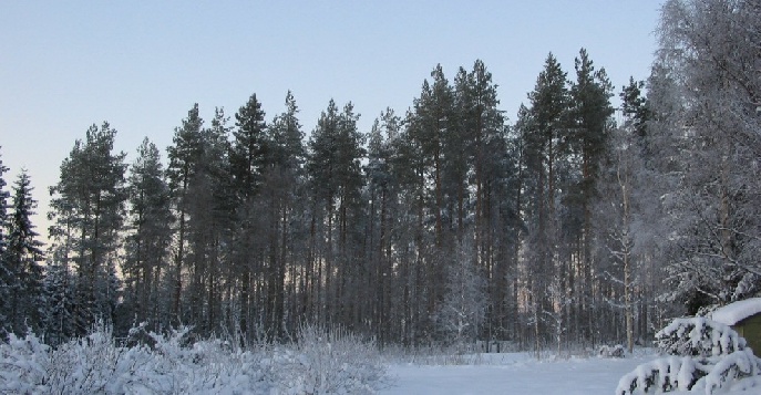 Центральная Финляндия