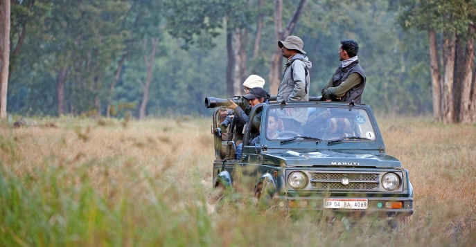Сафари в Национальном парке Канха, Индия