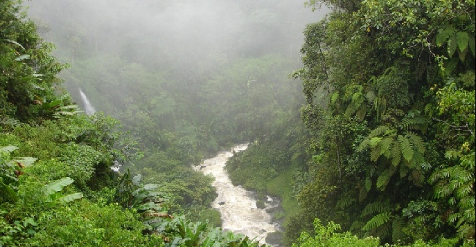 В Лаосе появилась возможность «полетать» над джунглями