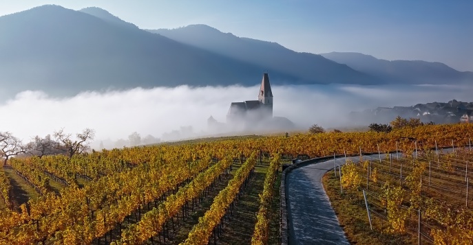 Экскурсии по Вене