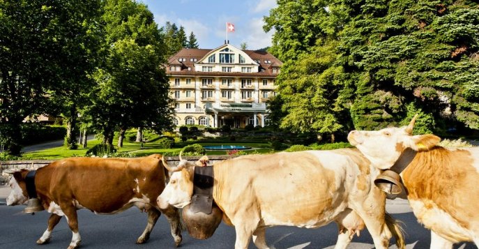 Отель Grand Hotel Bellevue 5*, Швейцария