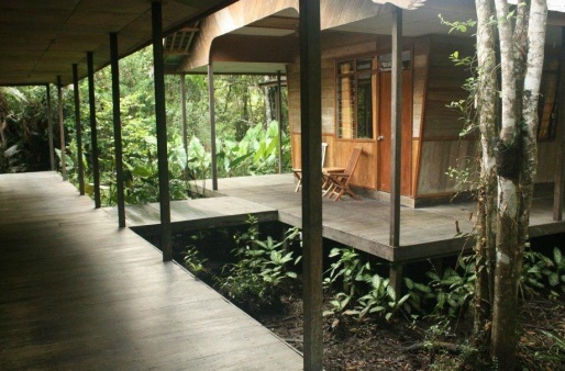 Отель Rimba Orangutan Eco Lodge 3-4*, Индонезия