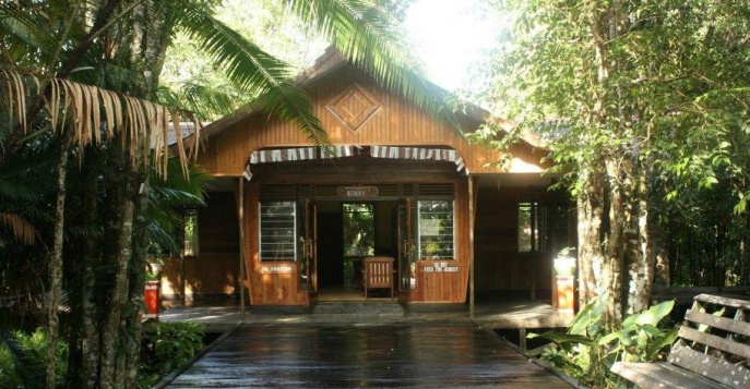 Отель Rimba Orangutan Eco Lodge 3-4*