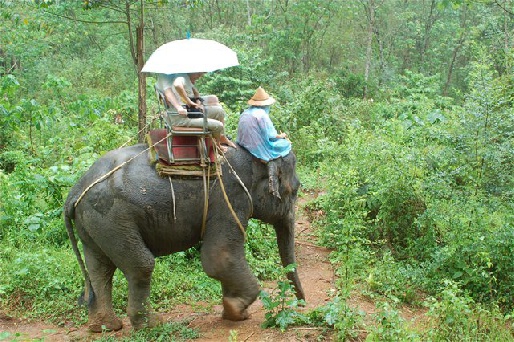 Экскурсия на слонах, Таиланд