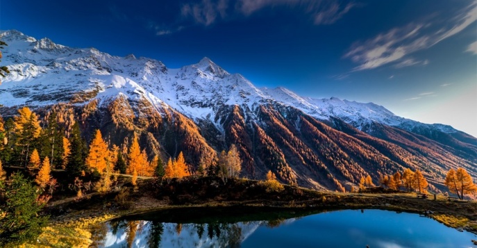 Живописные Бернские Альпы — отдых и развлечения