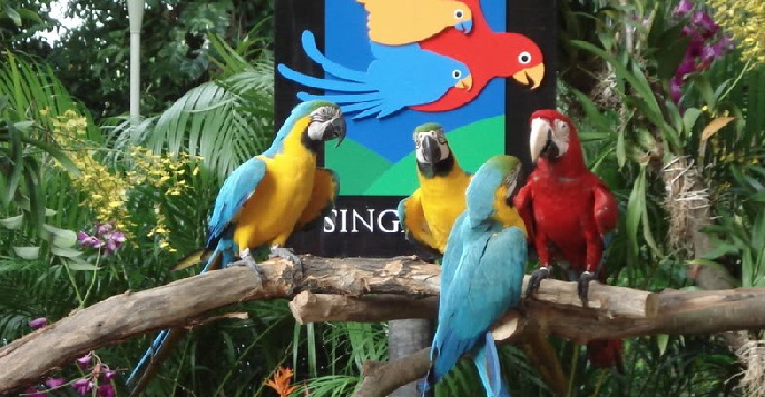 Парк Птиц в Сингапуре