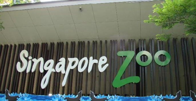 Сингапурский зоопарк – пятичасовые туры по уникальному природному комплексу