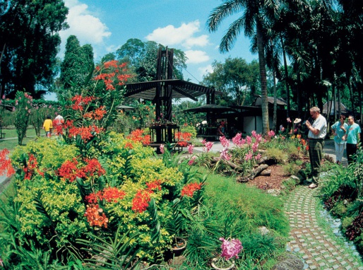 Ботанический сад, Сингапур