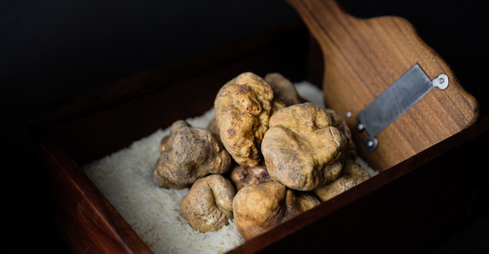 Трюфельное сафари в Умбрии