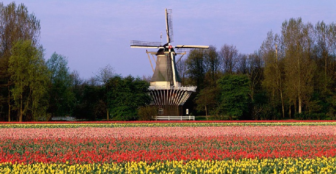 Тур в парк Keukenhof