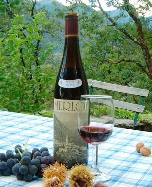 Дегустация вина Мерло в Тичино
