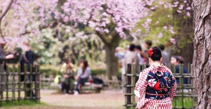 Неизведанная Япония: авторский тур на цветение сакуры