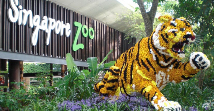 Зоопарк в Сингапуре – лучший парк животных в мире