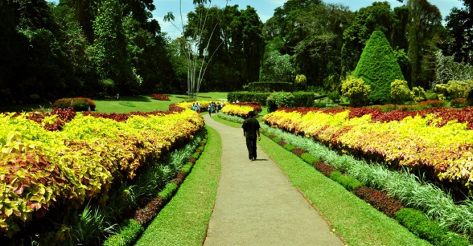 Королевский Ботанический сад