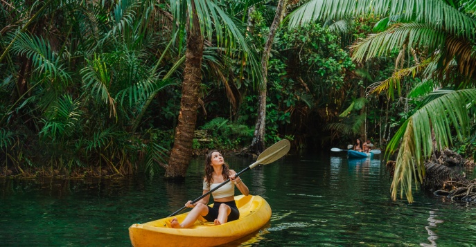 Уникальный тур по мангровым зарослям Лангкави