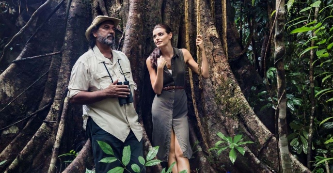 Огни, джунгли, океан: ваш Новый год в Малайзии!