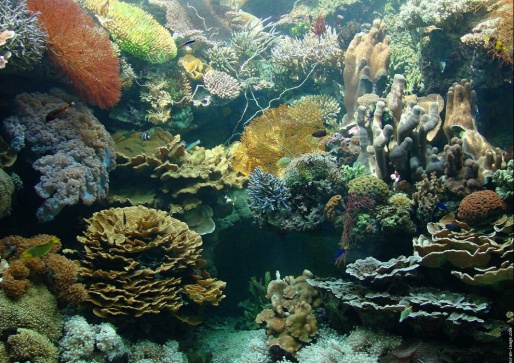 L'Aquarium - Океанариум в Барселоне, Испания