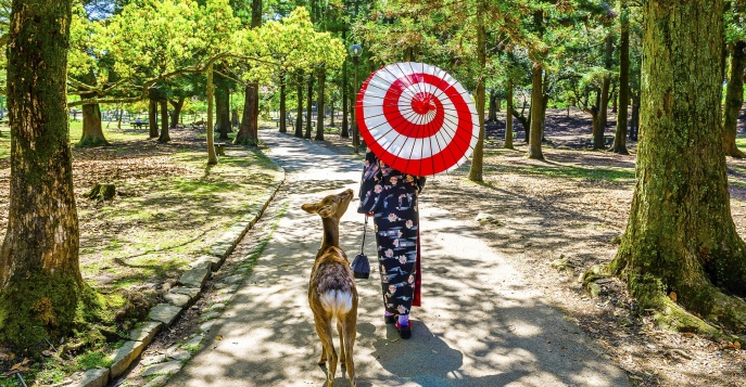 Нара, Япония