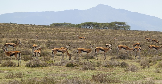 Мы побываем на острове Кресент, где снимался знаменитый фильм «Из Африки»