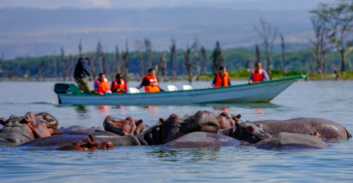 Прогулка на лодке по озеру Найваша