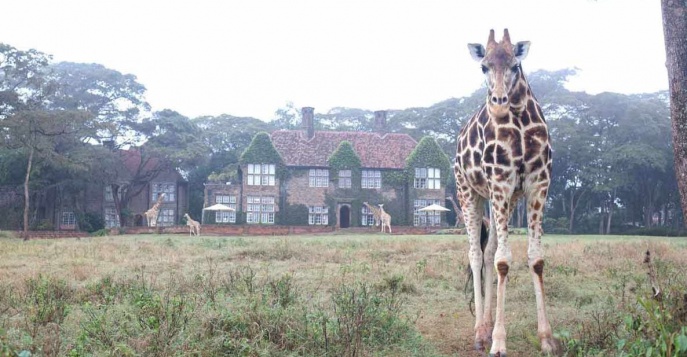 Отель Giraffe Manor 5*, Кения