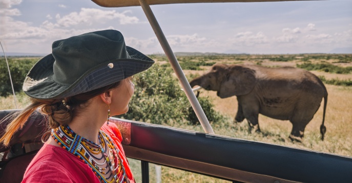 В гости к жирафам, носорогам Solio и хищникам Масаи Мара
