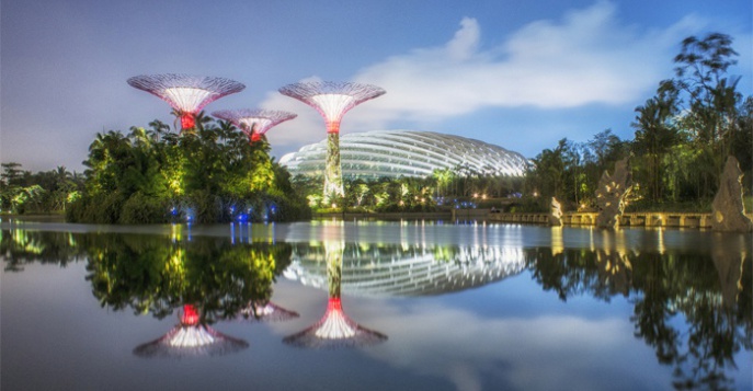 Gardens by the Bay (Новые Сады в бухте Марина Бей)