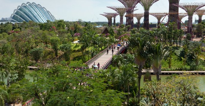 Gardens by the Bay, Сингапур