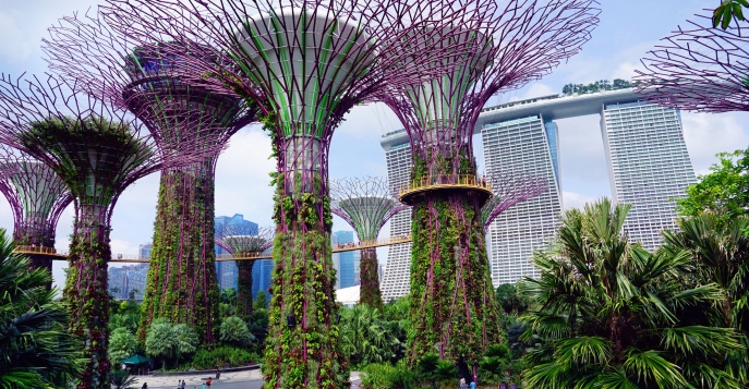 Gardens by the Bay (Новые Сады в бухте Марина Бей)