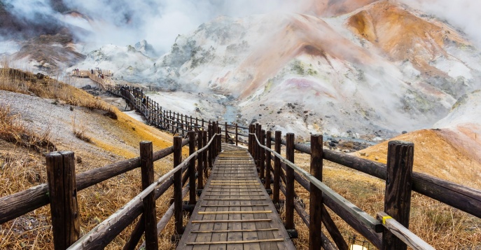 Посещение долины Дзигокудани, Япония