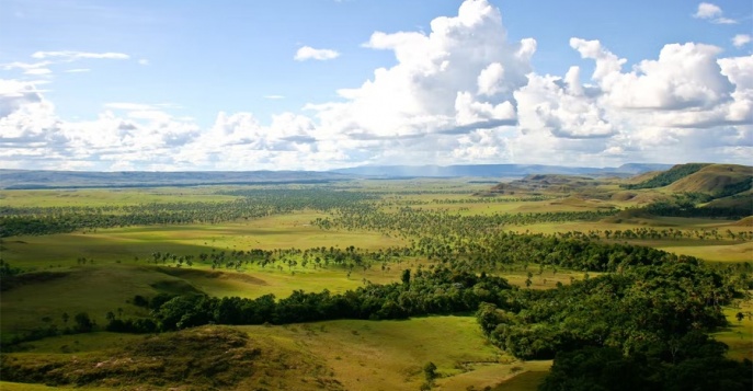 Лос Льянос, Венесуэла