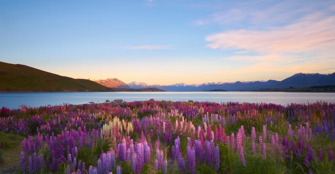 Озеро Текапо, Новая Зеландия
